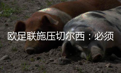 多名高薪球员面临离队目前