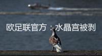 欧足联官方：水晶宫被剥夺欧联杯资格
，将参加欧协联