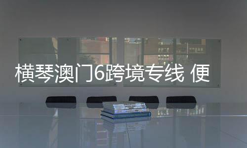 跨境其间横琴组团参展