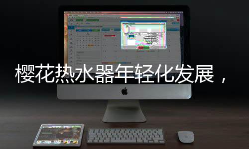 电路系统的小鲜肉检查
