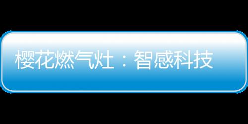 让消费者使用更平安
