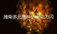 潍柴多元燃料矿山动力闪耀中国国际矿业展，四大关键词解码硬核实力�！