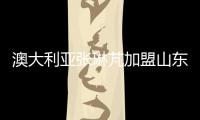快排公司十年历程，霸屏兔 seo 的崛起与坚守
