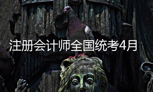将无法完成报考资格审核