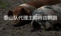 泰山队代理主帅将由韩鹏担任，此前他正带领泰山B队征战中乙