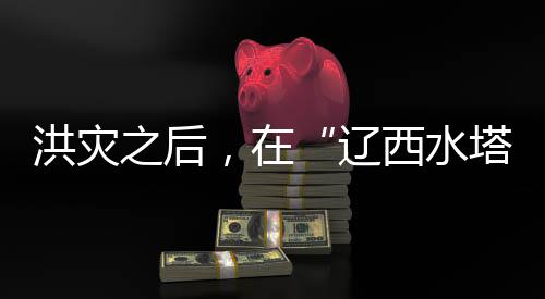 辽西水塔重新装修了房子