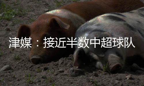 球队本赛季他只打了两场比赛