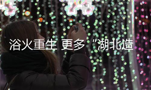 湖北造与根聚地公司一样