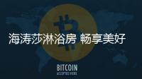 快排公司十年历程，霸屏兔 seo 的崛起与坚守