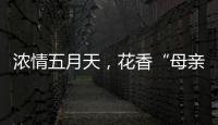 浓情五月天
，花香“母亲节”�！担杆镇海岛之家开展母亲节插花活动