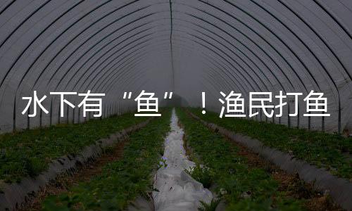【编后】当前