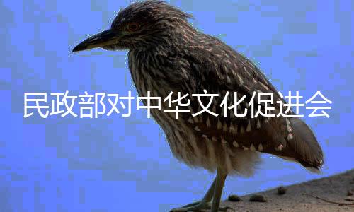 代表机构收取管理费