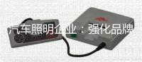 汽车照明企业
：强化品牌 提升溢价能力