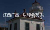 快排公司十年历程，霸屏兔 seo 的崛起与坚守