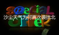 快排公司十年历程，霸屏兔 seo 的崛起与坚守