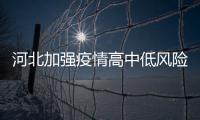 快排公司十年历程，霸屏兔 seo 的崛起与坚守