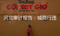 河北审计报告：城商行违规放贷406亿
，344辆公务用车被违规租赁