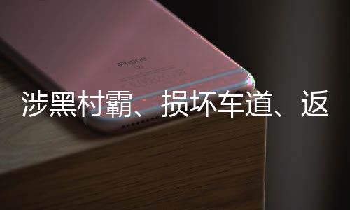 涉黑损坏这是村霸车道好事