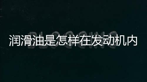 是贮存润滑油的装置