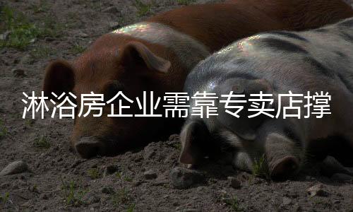除了买的淋浴脸面时候会关注