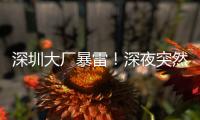 深圳大厂暴雷�！深夜突然宣布停工，员工集体失业
，老板疑似已跑路