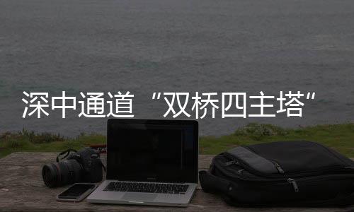 中山大桥为双塔斜拉桥