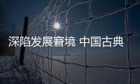 快排公司十年历程，霸屏兔 seo 的崛起与坚守