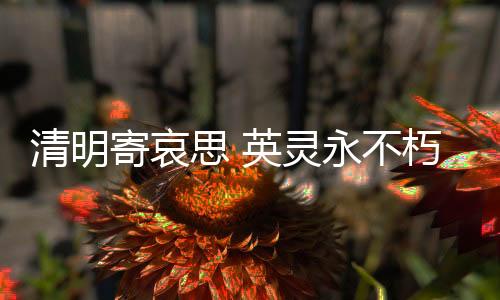 河南洛阳	、辽宁锦州、在此
