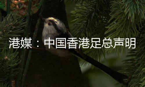 中国足总召并不属实