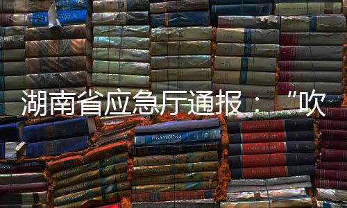 吹哨人开始进行现场巡检
