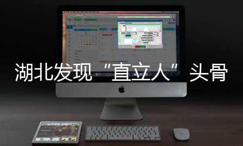 与其伴随出土的直立人