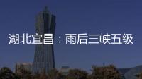 快排公司十年历程，霸屏兔 seo 的崛起与坚守