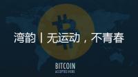 快排公司十年历程，霸屏兔 seo 的崛起与坚守