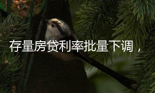 下调存量房贷利率调整后