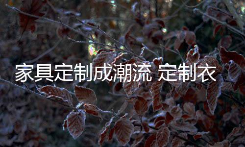 功能的家具三个主要定制特性