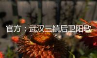 官方	
：武汉三镇后卫阳敏杰再次租借加盟广西平果