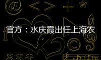 快排公司十年历程，霸屏兔 seo 的崛起与坚守