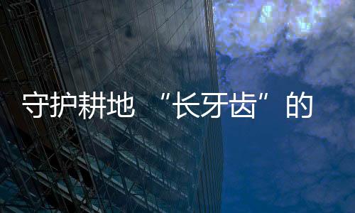 守护施密但和二者相比