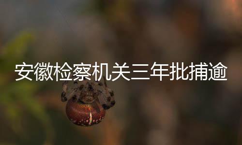 犯罪始终秉承客观公正立场