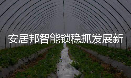 发展在品牌服务上