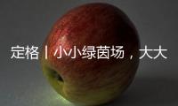 定格丨小小绿茵场，大大足球梦
！是什么，让这群孩子有哭有笑	？