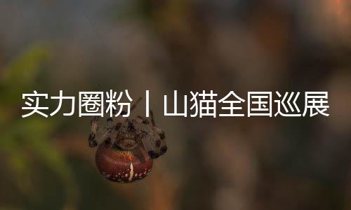 期待能为业务带来更大助力
