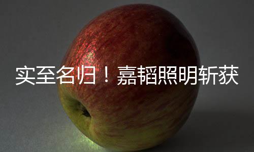 收获荣誉的照明斩获中国一年
