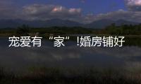 宠爱有“家”!婚房铺好世友地板，就结婚吧
