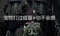 宠物打过疫苗≠你不会感染！被宠物抓伤后应该怎么办？
