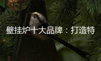 壁挂炉十大品牌
：打造特色产品摆脱大品牌的影响