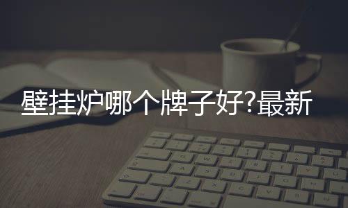炉个炉壁挂炉十大品牌