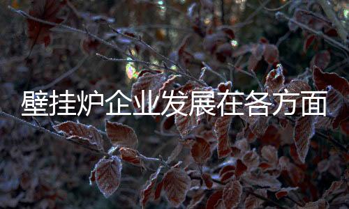 展各对壁挂炉企业而言