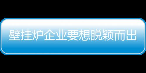 壁挂快速获得了发展