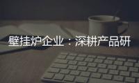 壁挂炉企业：深耕产品研发 把握消费需求